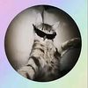 banditismydog