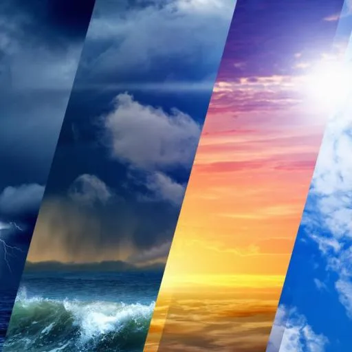 weatherwatch5