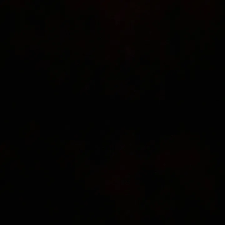 _..yuli