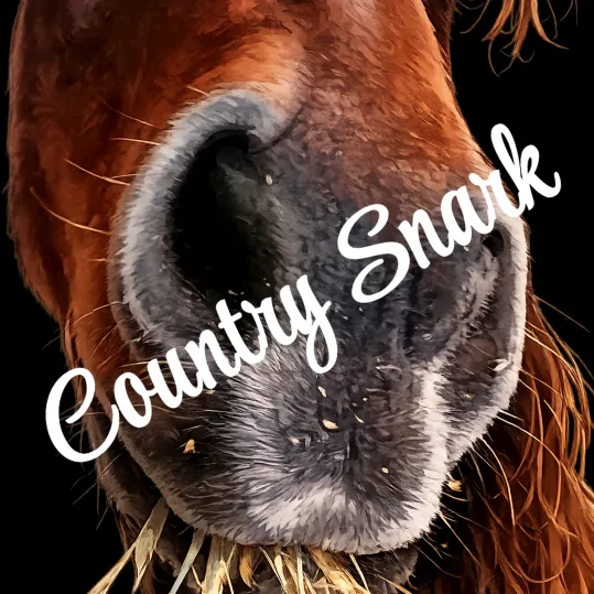 country4life1202snark