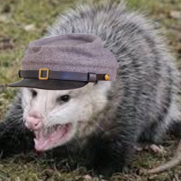 col.opossum
