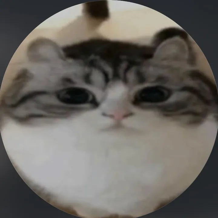 questchipps