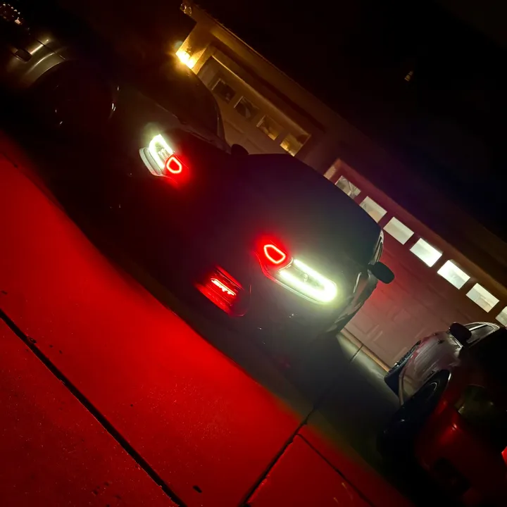 papa_midnight_392
