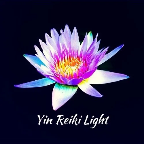 @yinreikilight