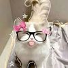@itx_fatima155