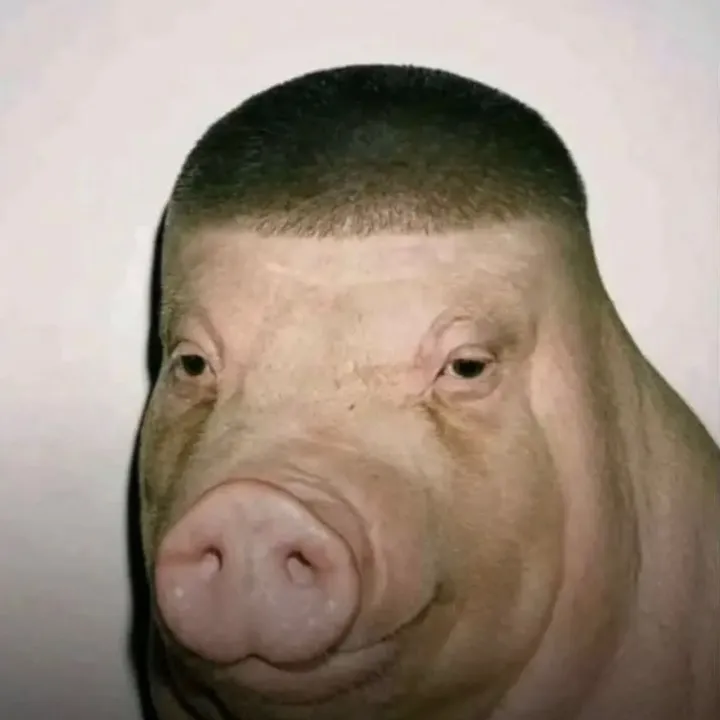 htx_dani23