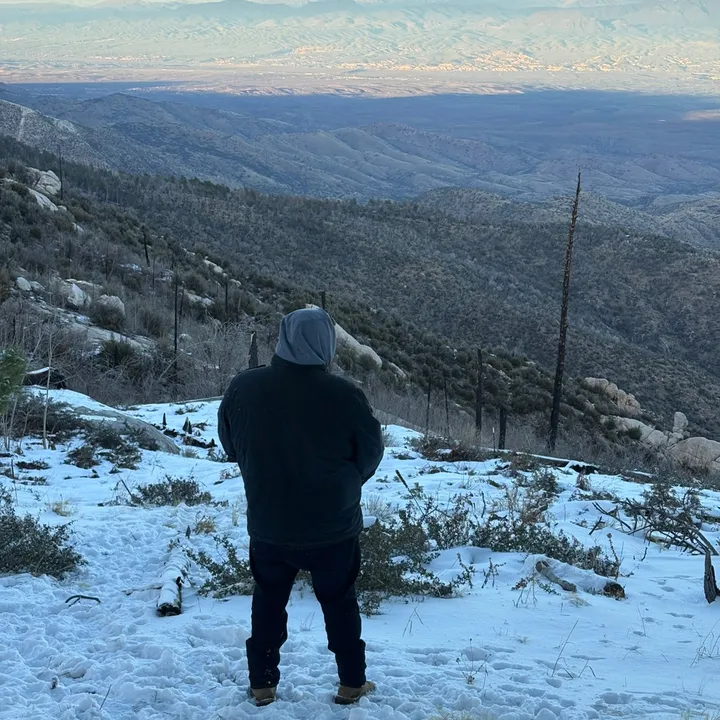 el_yogi31