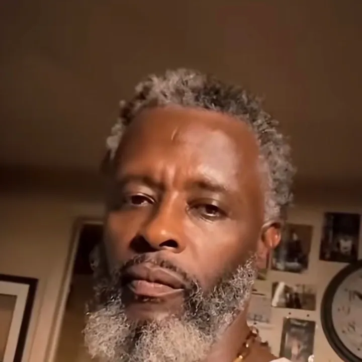 thevibeologist11