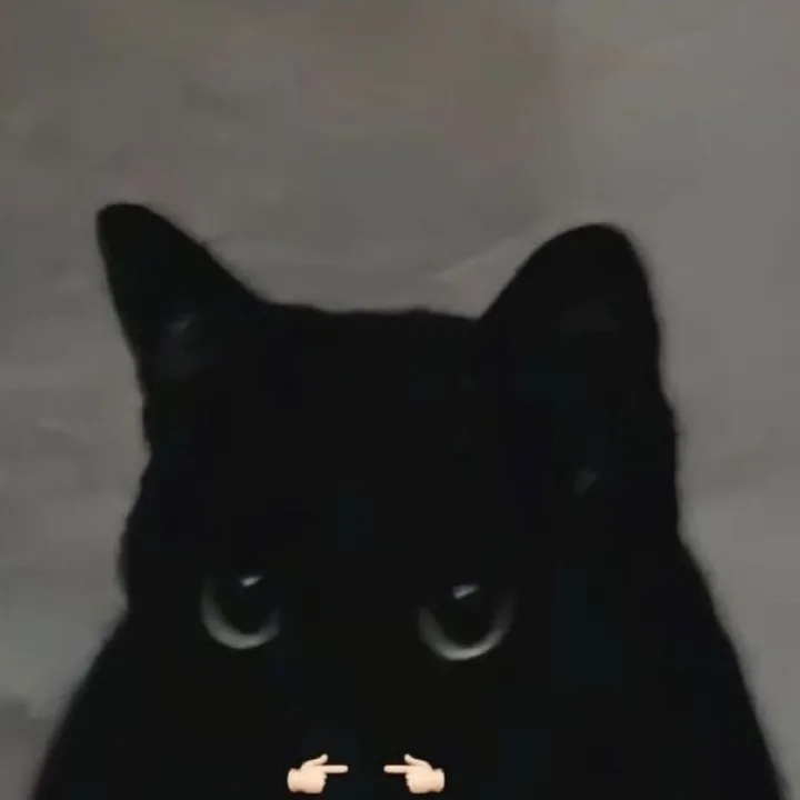 _cindae_