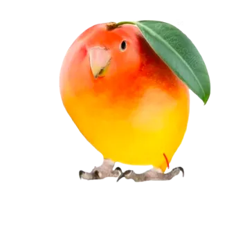 gookga