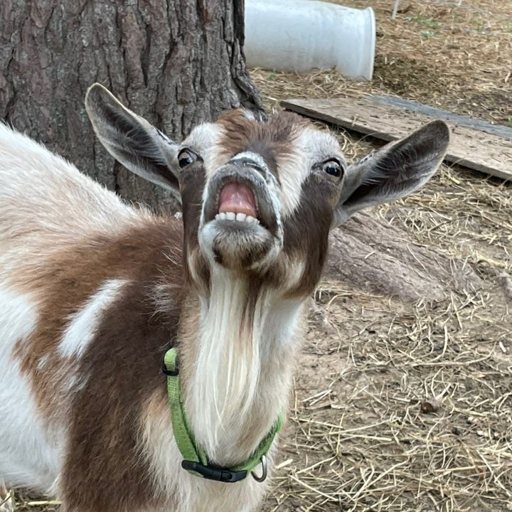 sierra_tswfarms