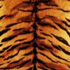 tigerseyes4