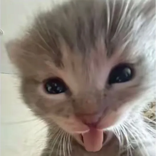 rea1keke