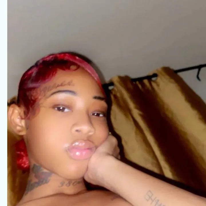 @novabeezyx