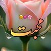 fatima.writes401