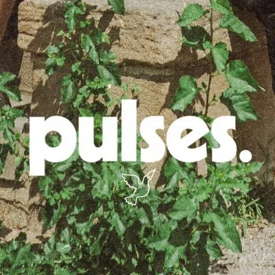 pulsesva