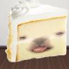 zadertater12