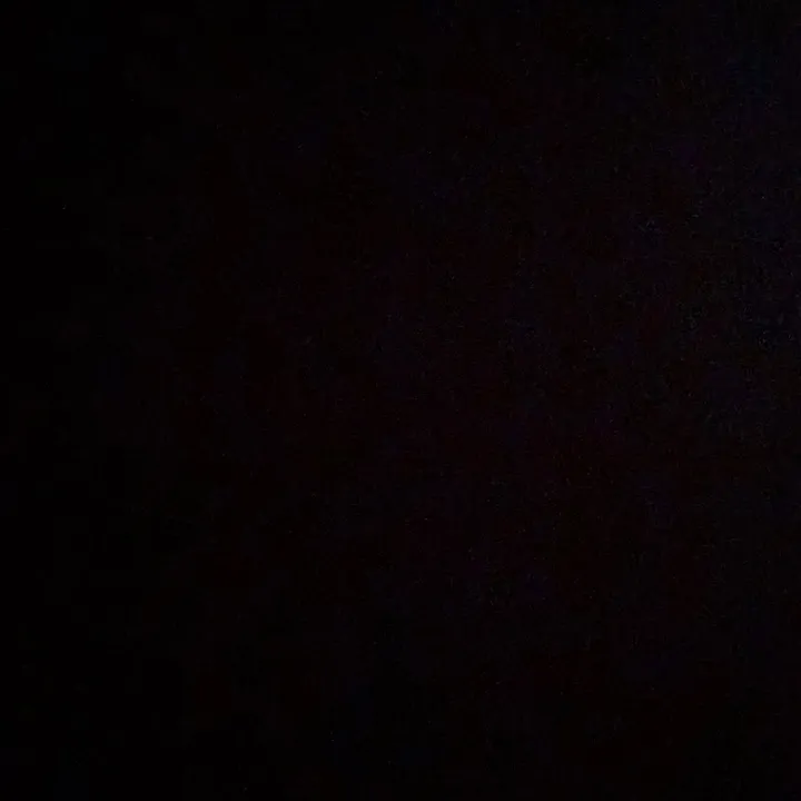 ryancantor2