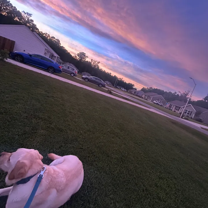 cloudztwinks