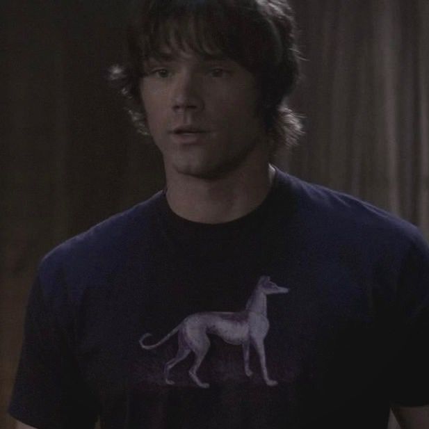 samspurpledogtshirt