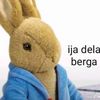 pelosdetrapeador