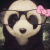 user262056294