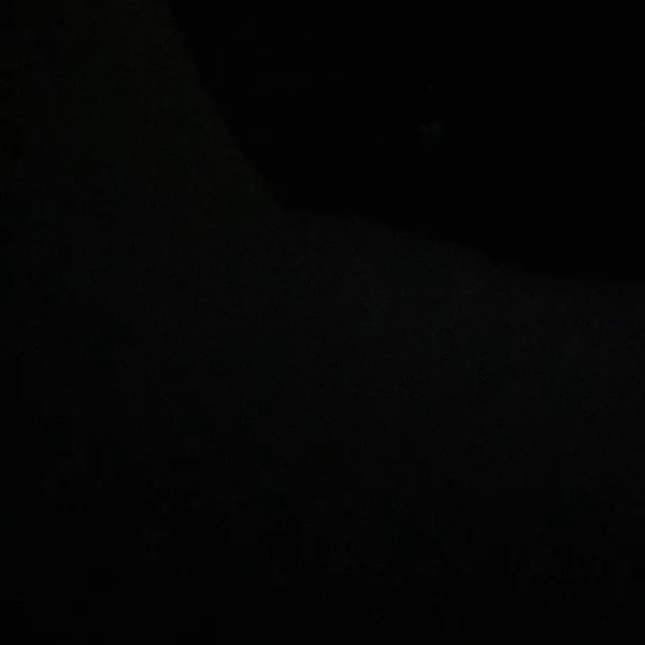 sammywammyyy4