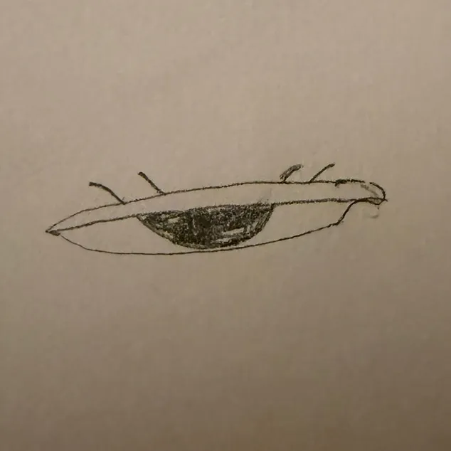 flying_whales99