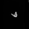 mooninstar11