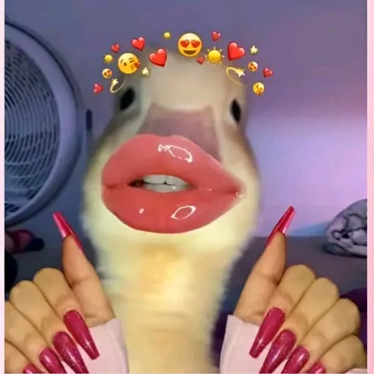 sofiefr_1