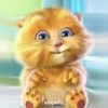 meowvii8