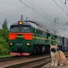 spotter_iz_sosnoviebor47