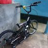 jorlin117