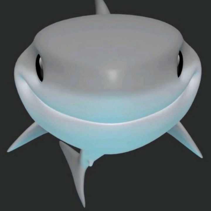 b1xyzonyt