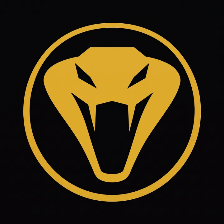 viperstudios2