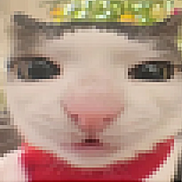notmoon69