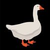 duck10125