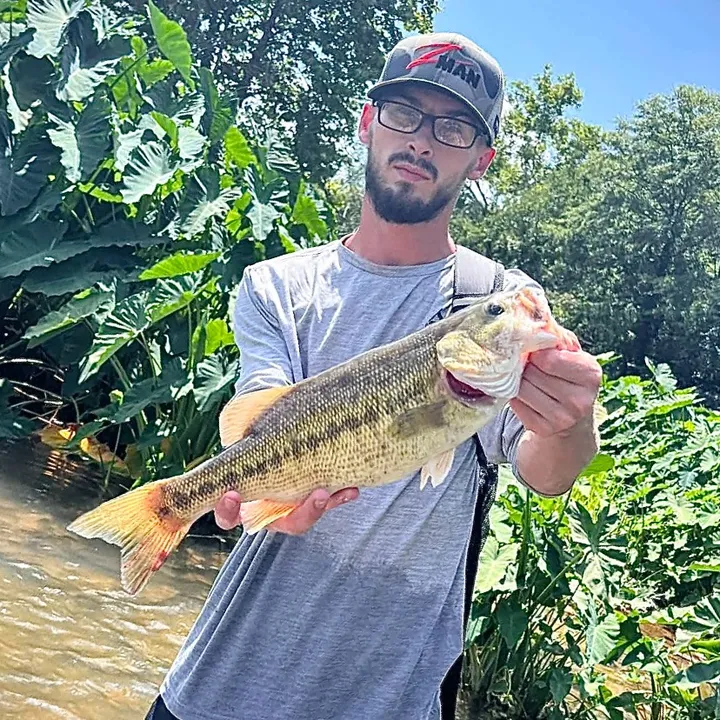 wood.fishing