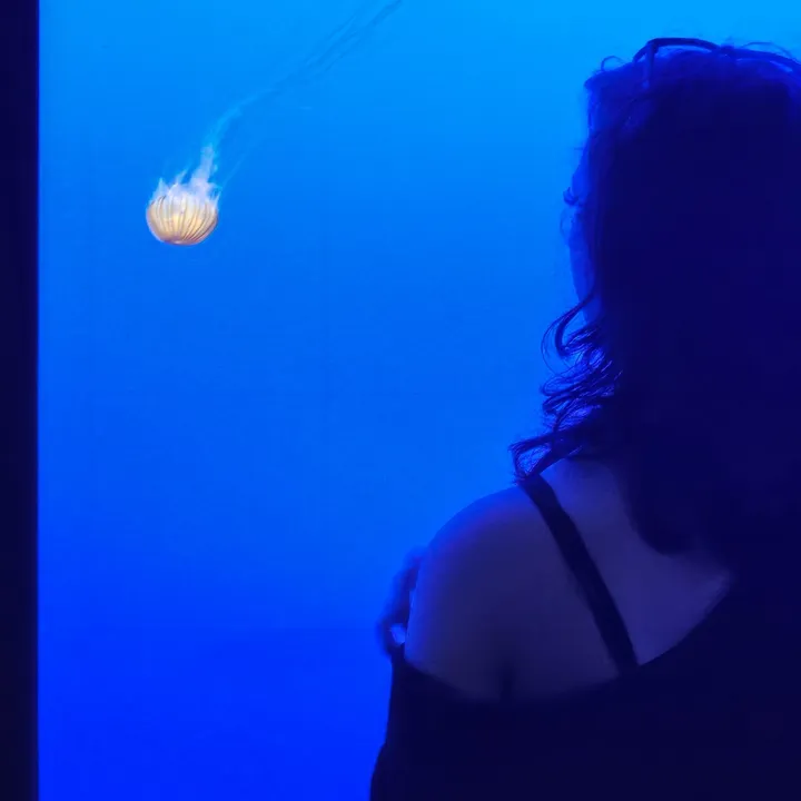 jellonomellow