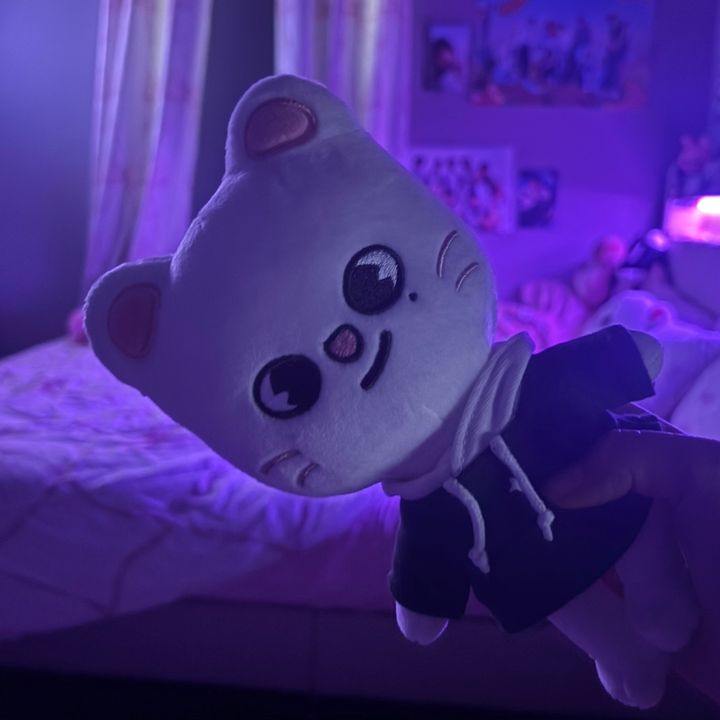 straykids1stfannnn