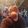 rocketpopthehorse