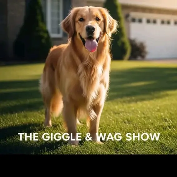 @the.giggles.and.w