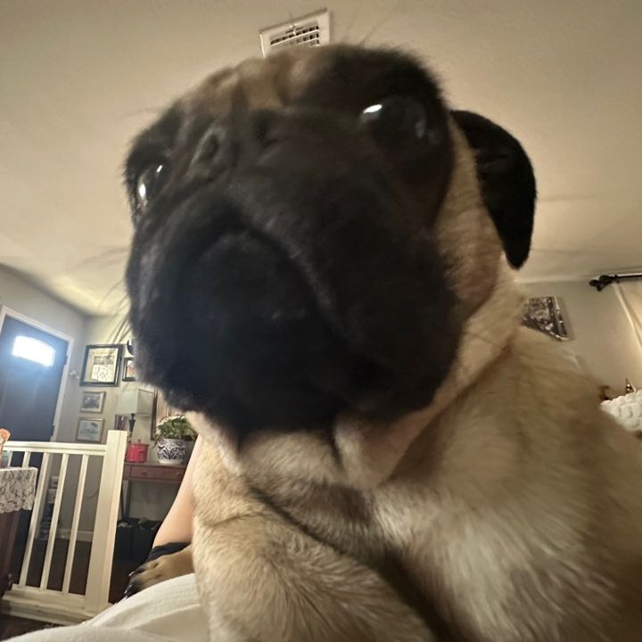eggins0526