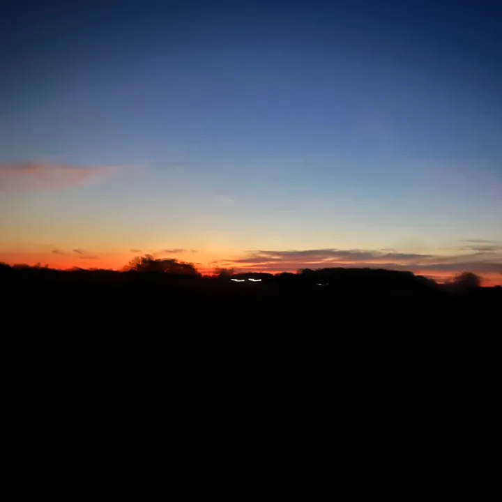 sahara.nelson2