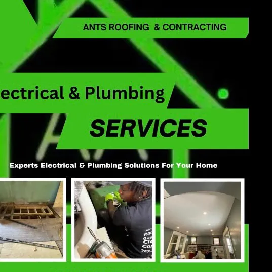 ants.roofing.and