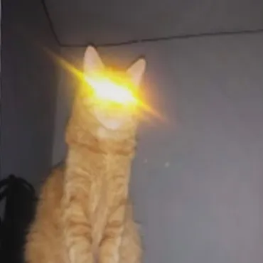 mullatoprince