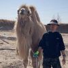 @gislason_camel