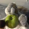 bunny.king39