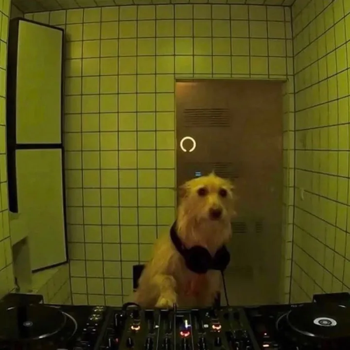 dougfunnyxx