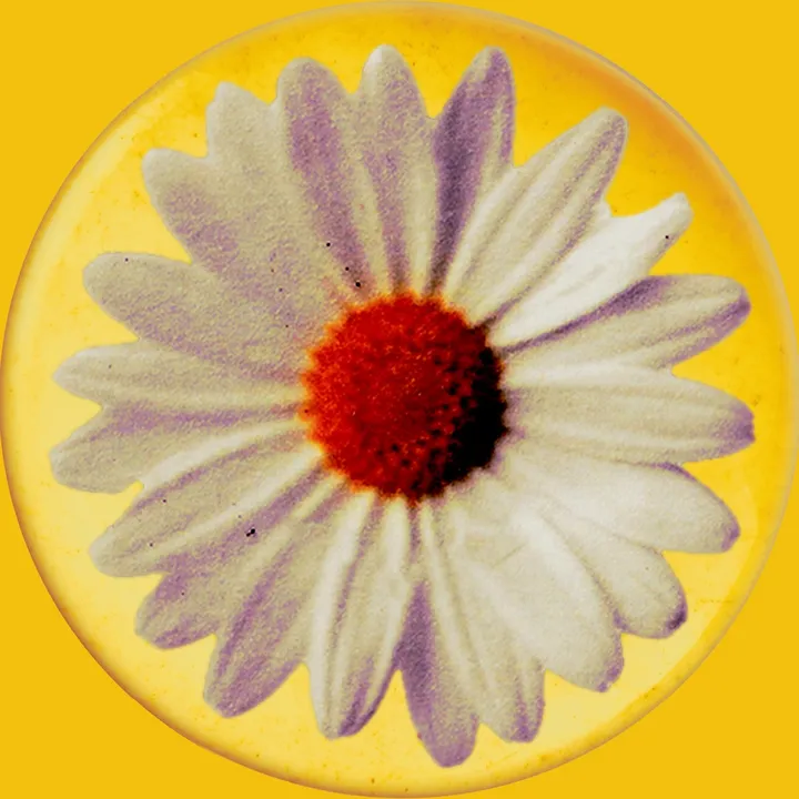 daisychainfields